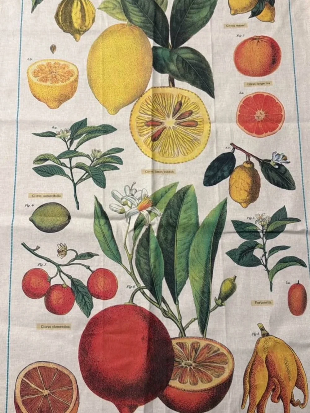 Urban outfitters fruit wall tapestry